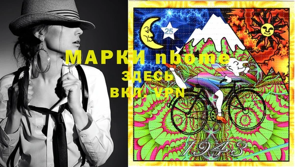 гашик Алексин