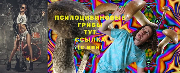 прущая мука Алзамай