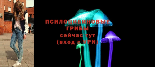 гашик Алексин