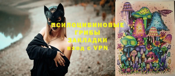 прущая мука Алзамай