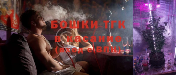 гашик Алексин