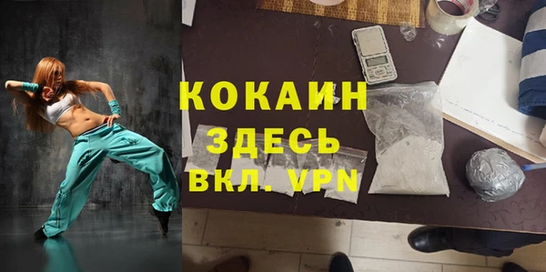гашик Алексин