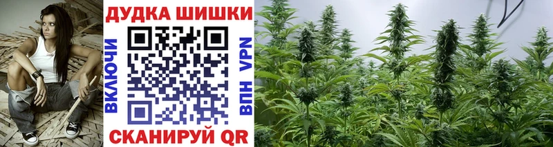 ОМГ ОМГ tor  наркота  Кадников  Канабис AK-47 